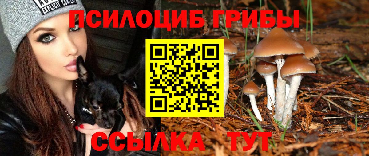 Галлюциногенные грибы Psilocybine cubensis  Вход с VPN  Похвистнево  Галлюциногенные грибы ЛСД 