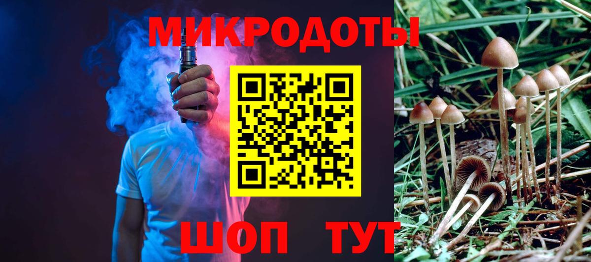 Псилоцибиновые грибы Psilocybine cubensis Похвистнево